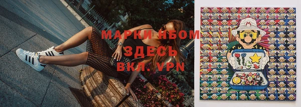 хмурый Алзамай