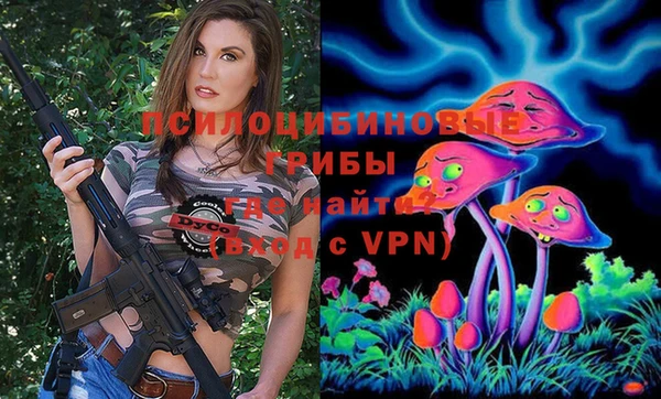 а пвп мука Инта