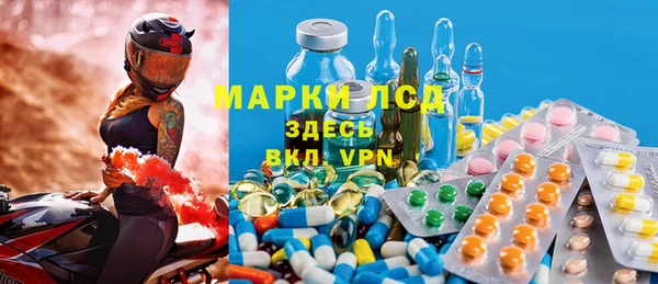 хмурый Алзамай