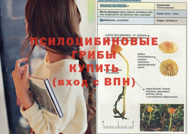 бошки Каменка