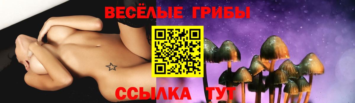 Псилоцибиновые грибы мицелий  Вход с VPN  Псилоцибиновые грибы GOLDEN TEACHER  Североуральск 
